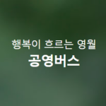 영월 행복버스 시간표 노선 보기