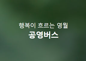 영월 행복버스 시간표 노선 보기